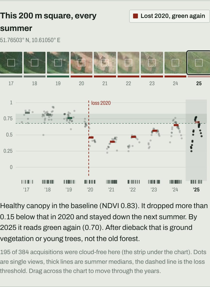 One 200 metre square: a filmstrip of summer images from 2017 to 2025 turning from dark forest to brown in 2020 and pale green by 2025, above a chart where the vegetation index drops sharply in 2020 and climbs back to the baseline by 2025.