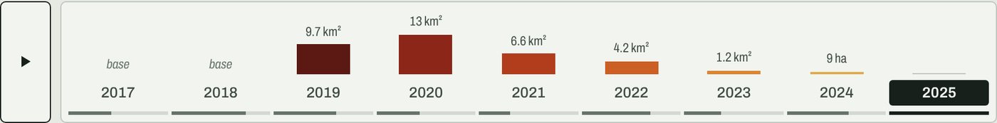 The timeline: one column per summer from 2017 to 2025. Bars show forest lost each year, tallest in 2019 and 2020. A thin line under each year shows how many cloud-free views that summer had.